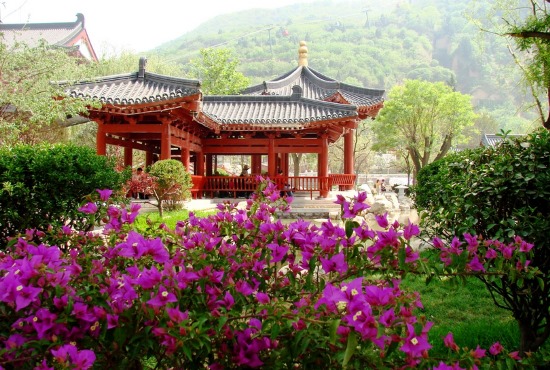 Сады Китая Фото