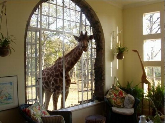  Giraffe Manor, , 